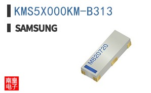 KMS5X000KM-B313