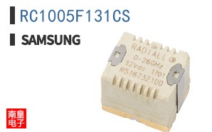 RC1005F131CS