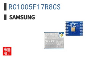 RC1005F17R8CS