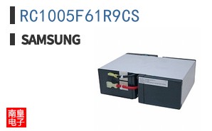 RC1005F61R9CS