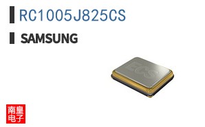 RC1005J825CS