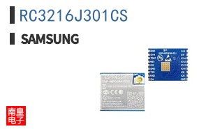 RC3216J301CS