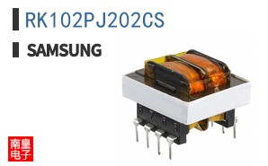 RK102PJ202CS