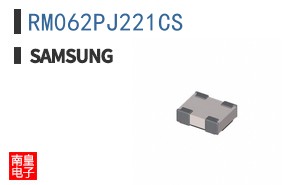 RM062PJ221CS