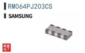 RM064PJ203CS