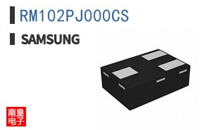 RM102PJ000CS