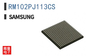 RM102PJ113CS