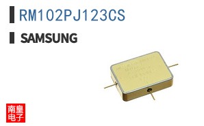 RM102PJ123CS