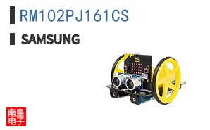 RM102PJ161CS