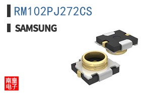 RM102PJ272CS