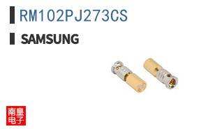 RM102PJ273CS