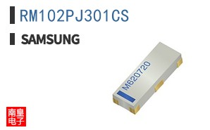 RM102PJ301CS