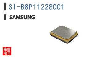 SI-B8P11228001
