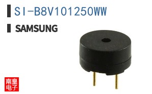 SI-B8V101250WW